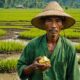 farmer discovers gold fortune