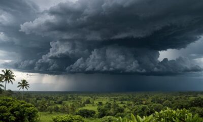 tropical disturbances increase rainfall